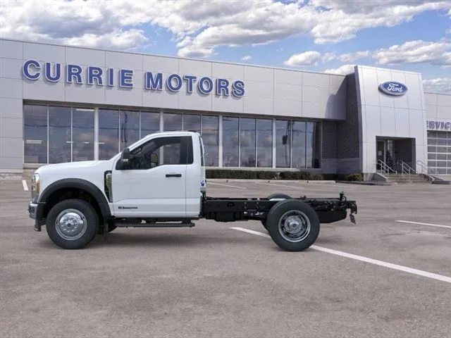 New 2026 White Ford  image 3