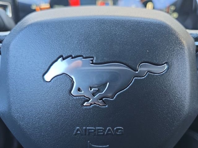 2024 Ford Mustang EcoBoost Premium - Photo 6