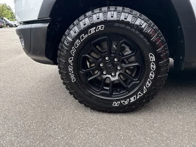 New 2026 Silver Zynith Exterior Paint RAM Rebel image 28