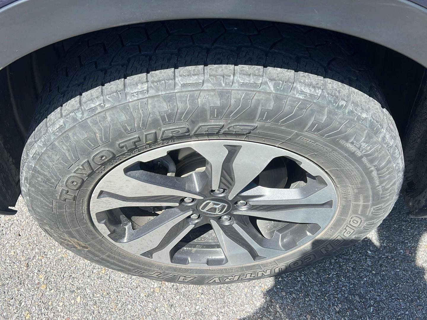 Used 2019 Obsidian Blue Pearl Honda LX image 9