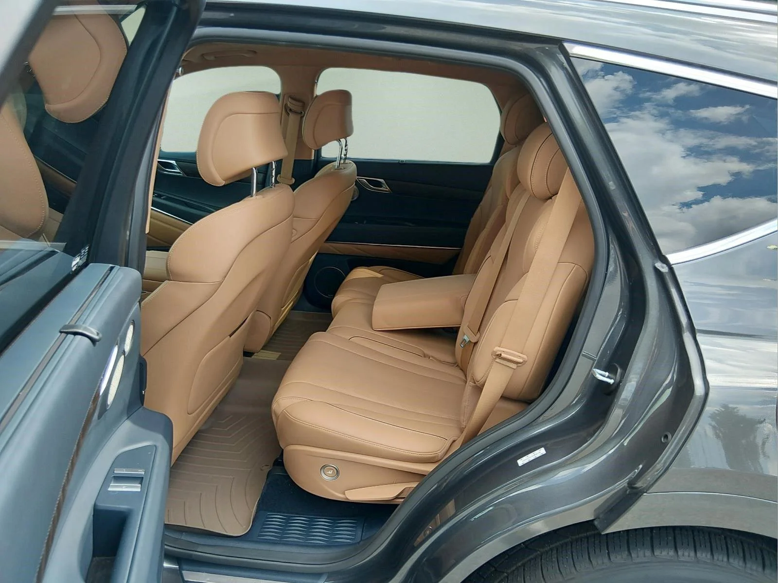 Used 2021 Himalayan Gray Genesis Advanced + image 14