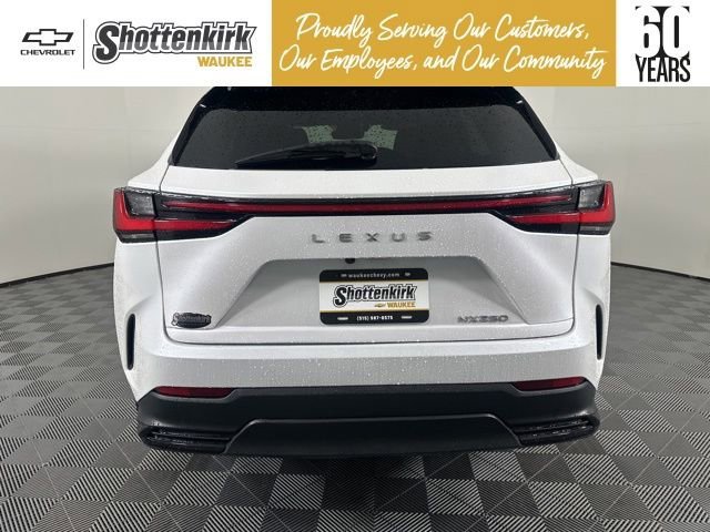 Used 2025 White Lexus NX 250 Premium image 4