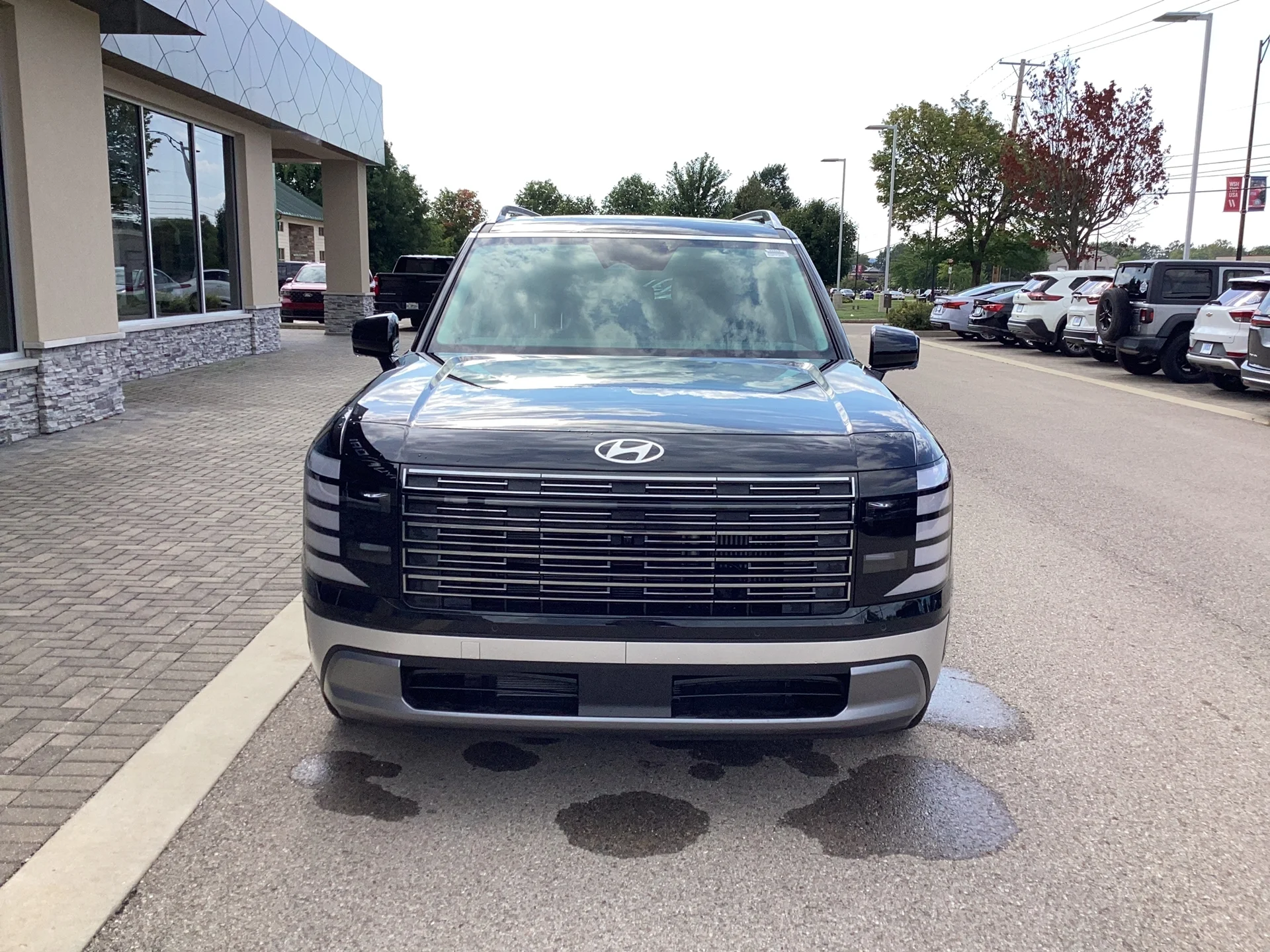 New 2026 Abyss Black Pearl Hyundai SEL Premium 8P image 10