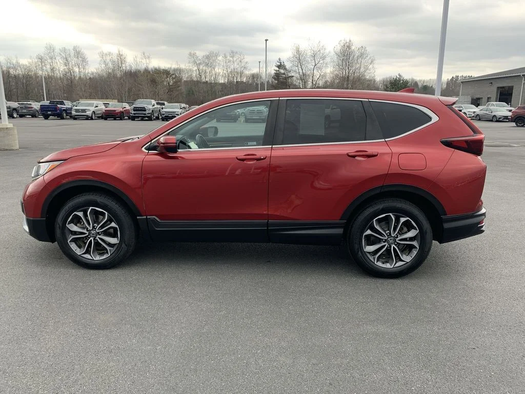 Used 2022  Honda EX-L image 5