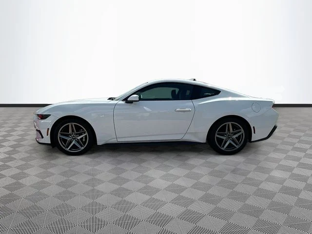 New 2025 Oxford White Ford EcoBoost image 3