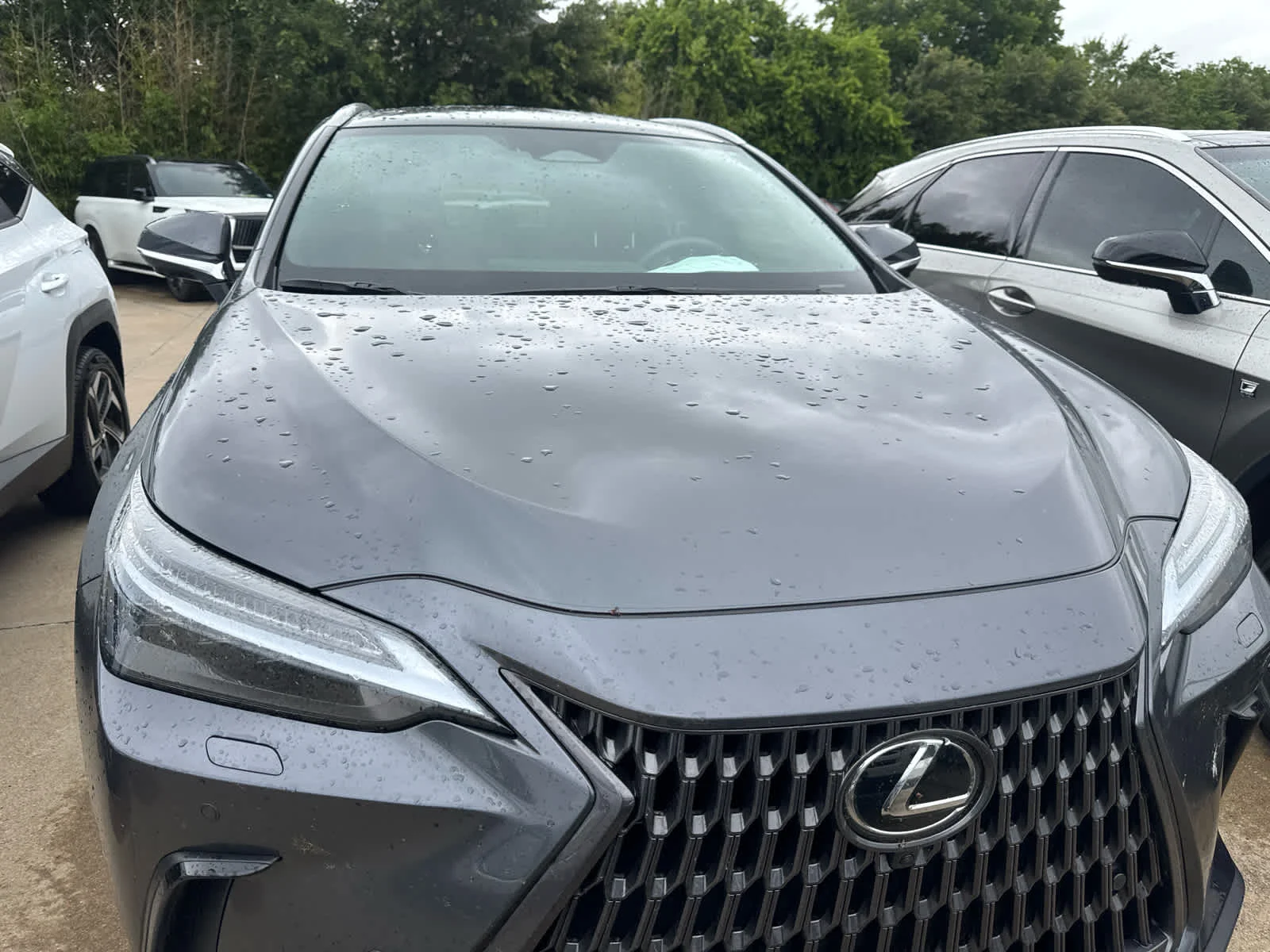 Used 2026 Cloudburst Gray Lexus Luxury image 5