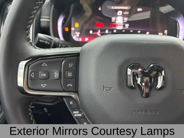Used 2025 Black Ram Limited image 28