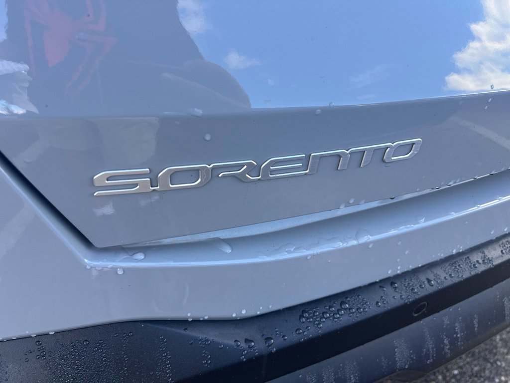 Used 2024 Gray Kia X-Line EX image 4