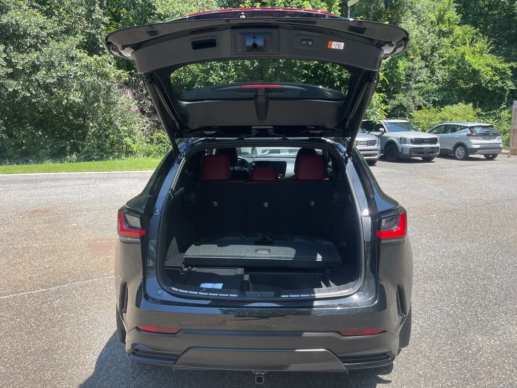 2024 Lexus NX PHEV 450h+ - Photo 16