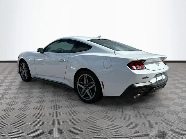 New 2025 Oxford White Ford EcoBoost image 4