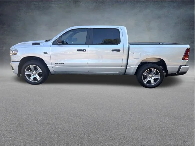 New 2027 Silver Zynith Exterior Paint RAM Express image 5