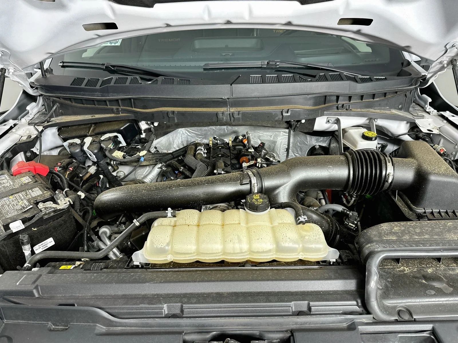 Used 2025 White Ford Tremor image 33