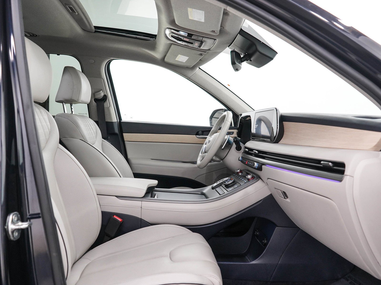 2024 Hyundai Palisade Limited - Photo 14
