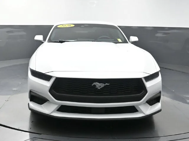 Used 2026 White Ford EcoBoost image 2