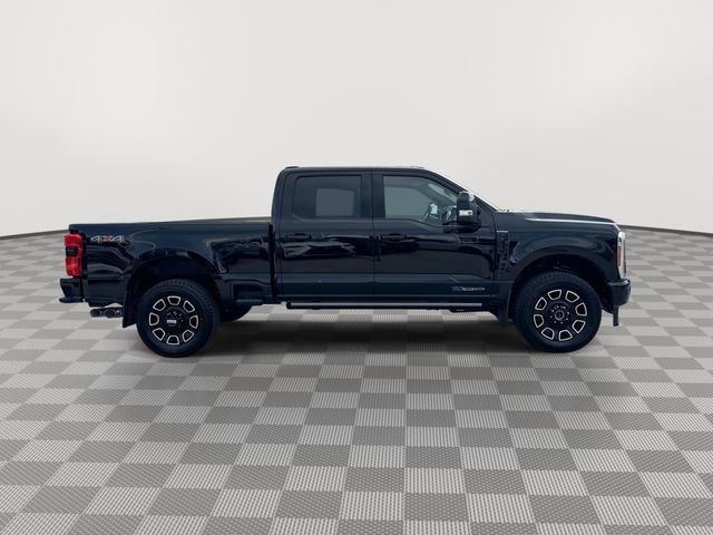 Used 2026  Ford Platinum image 10