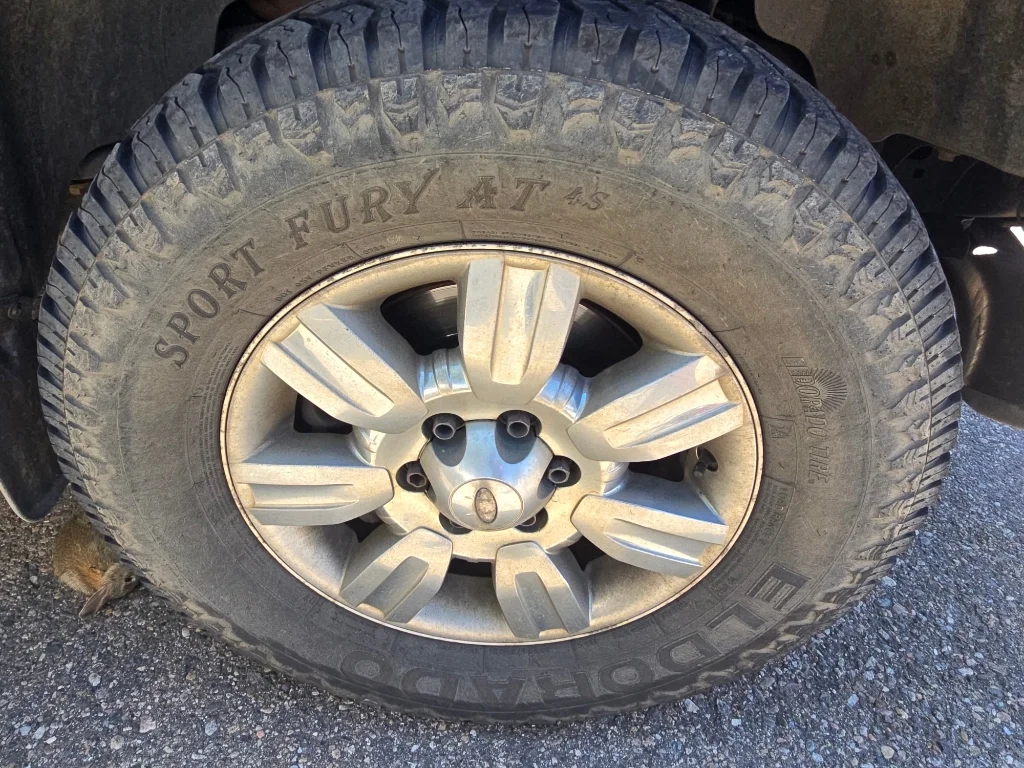 Used 2011 Tuxedo Black Metallic Ford XLT image 18
