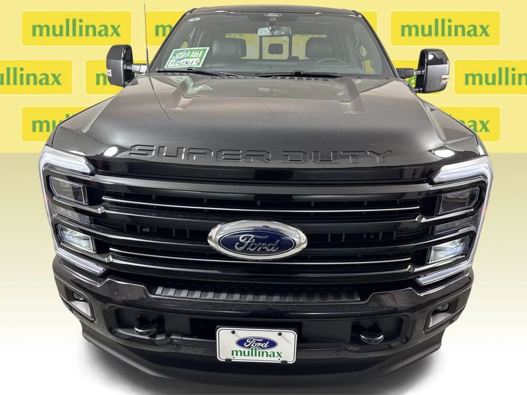 New 2026 Black Ford Platinum image 19