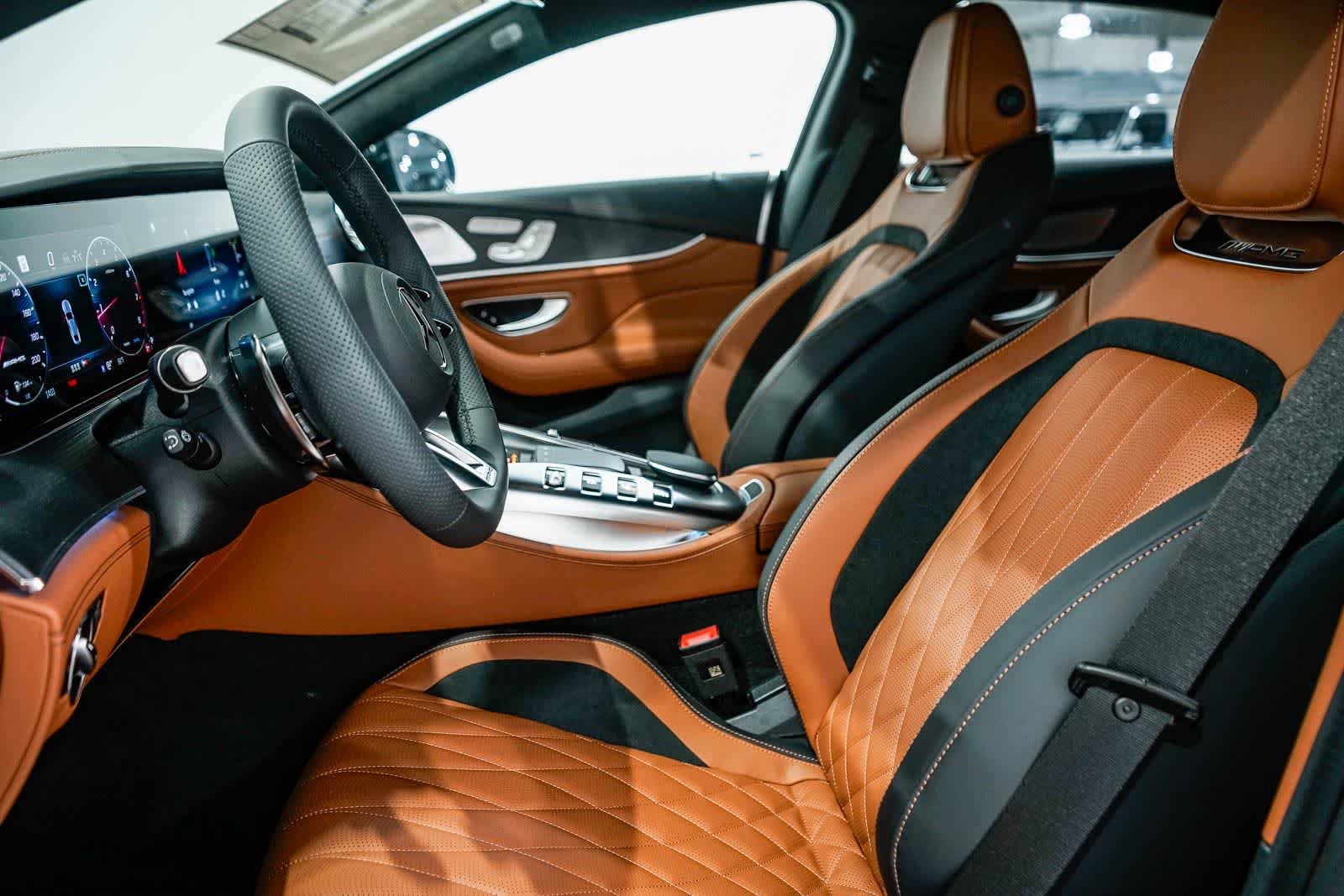 New 2026 MANUFAKTUR Starling Blue Magno Mercedes-Benz AMG® GT 53 image 18