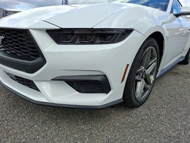 New 2026 Oxford White Ford EcoBoost® Fastback image 9