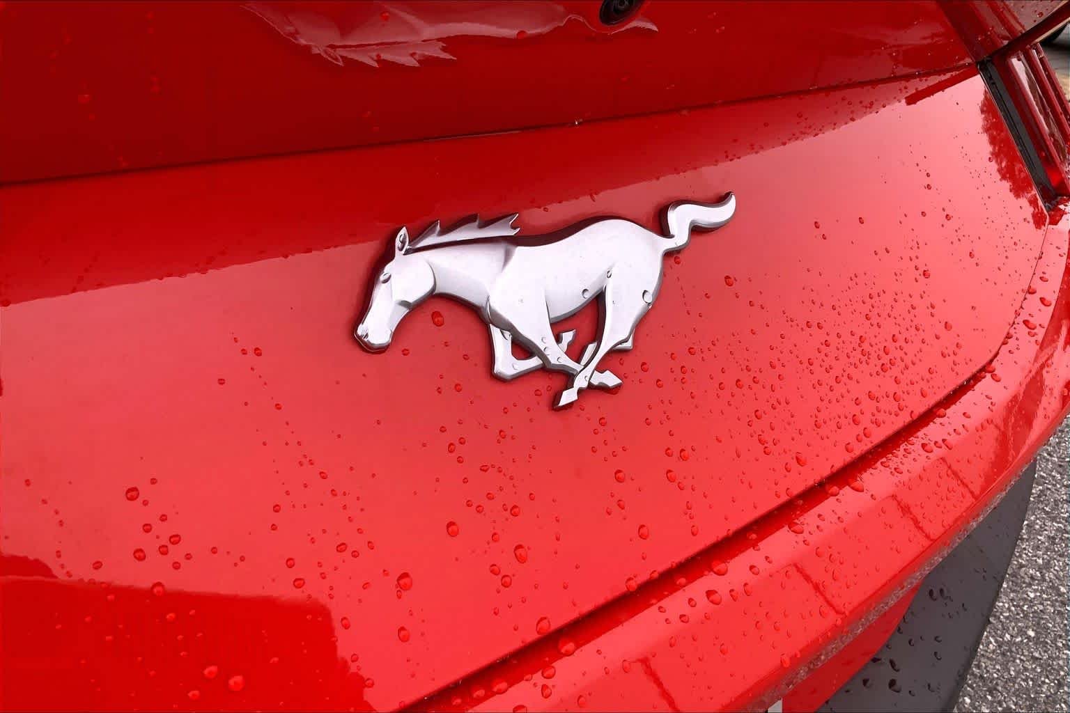Certified Used 2024 Race Red Ford EcoBoost Premium image 29