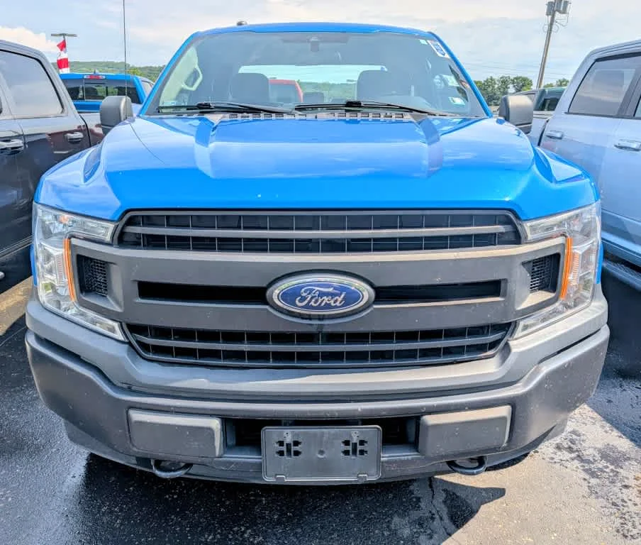 Used 2019 Velocity Blue Ford XL image 2