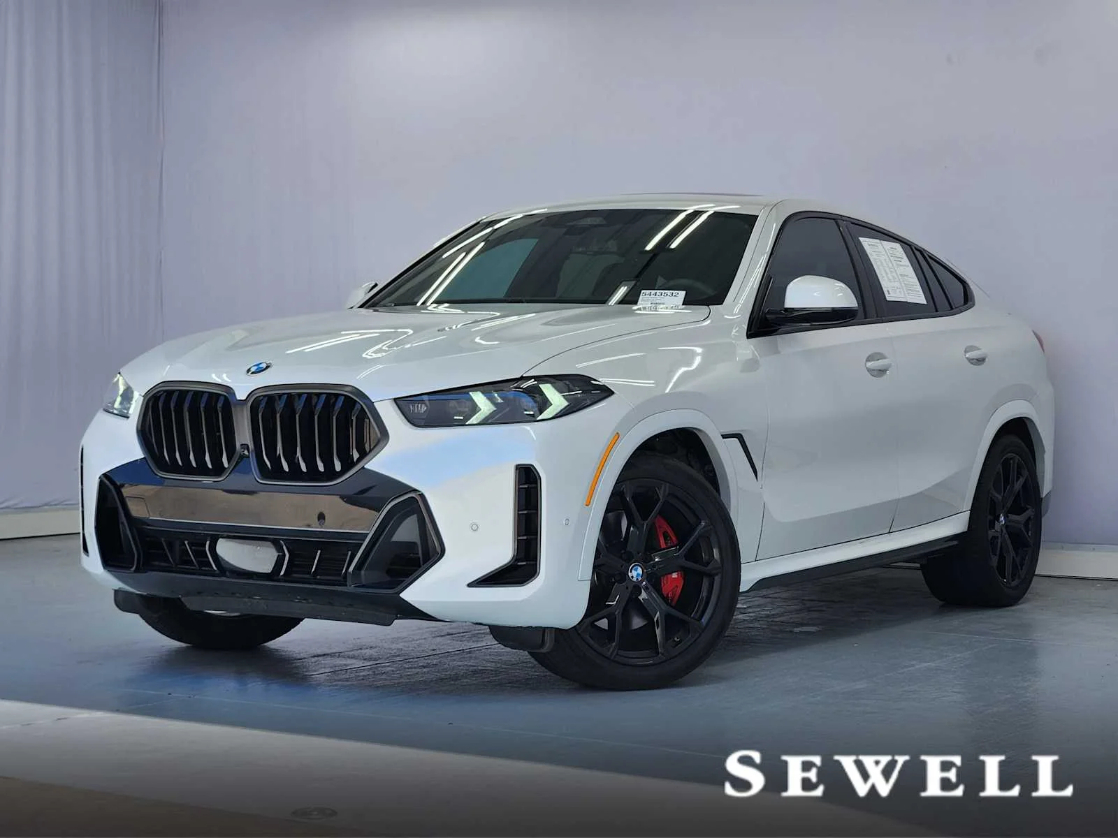 2025 BMW X6 xDrive40i's photo