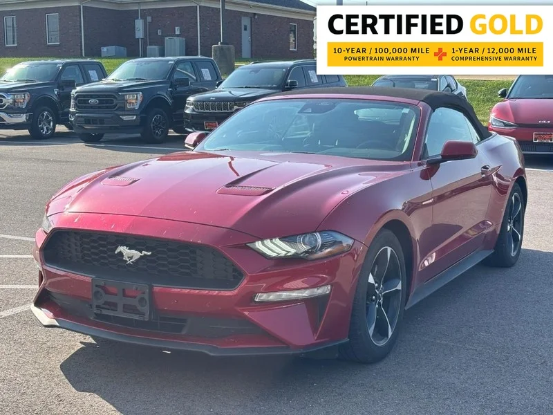 Used 2022 Rapid Red Metallic Tinted Clearcoat Ford EcoBoost image 1