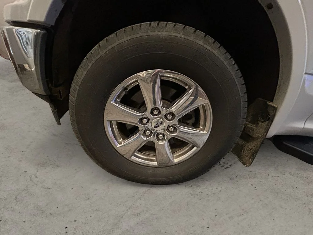 Used 2019 Oxford White Ford  image 14