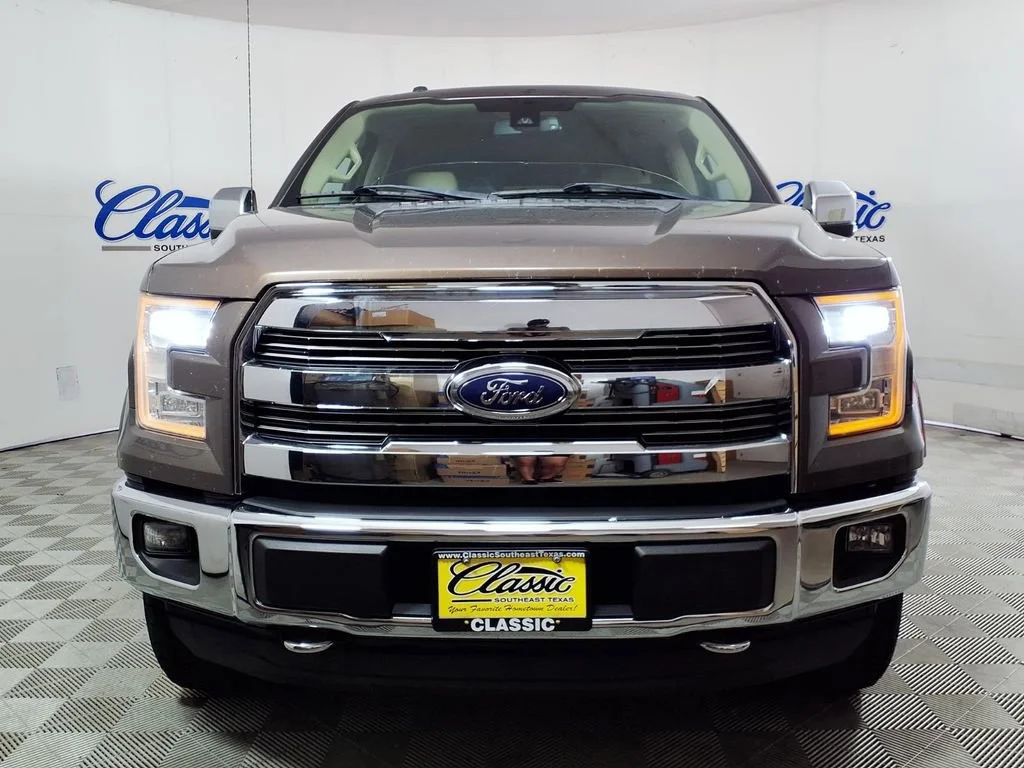 Used 2015 Caribou Metalli Ford XLT image 3