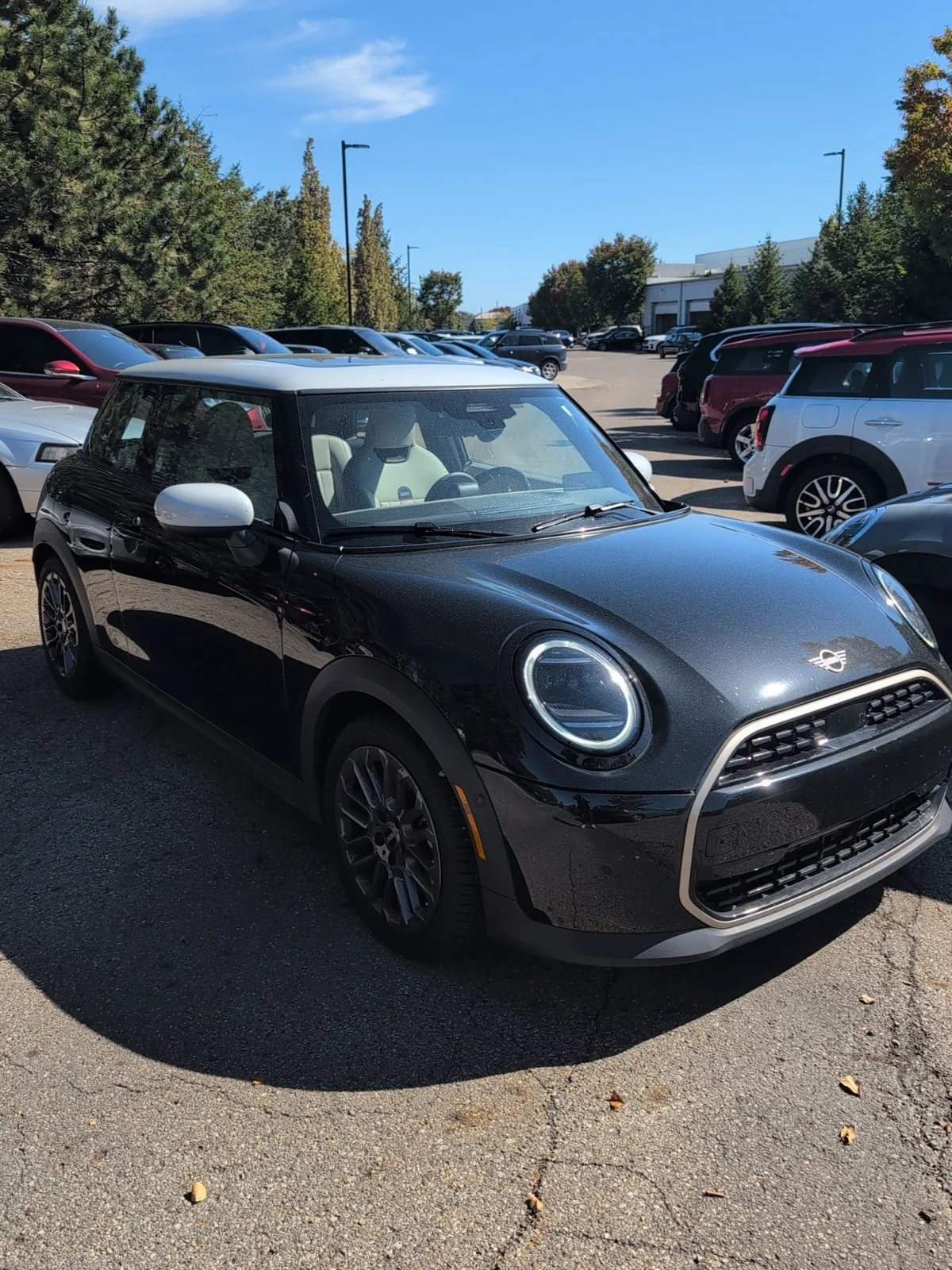 Used 2026 Black MINI  image 5