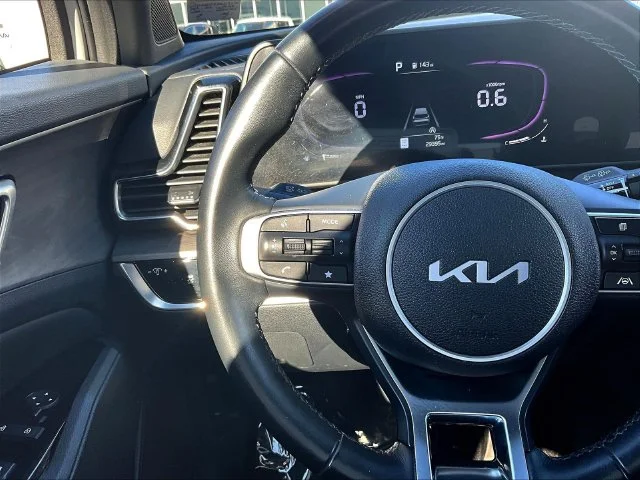 Used 2024 Gray Kia X-Line image 13