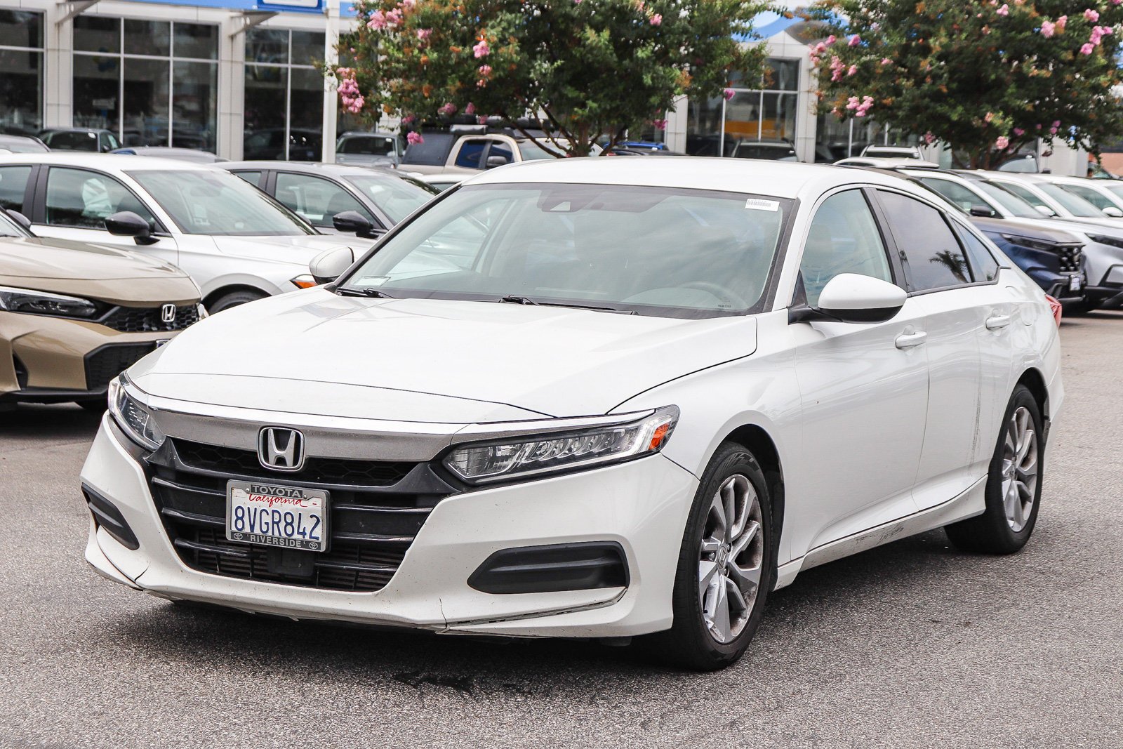 Used 2020 Platinum White Pearl Honda LX image 3