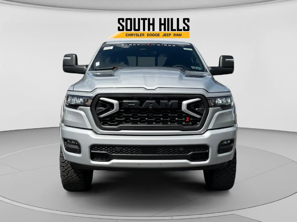 New 2026 Silver Zynith Exterior Paint RAM Big Horn Black Widow image 8