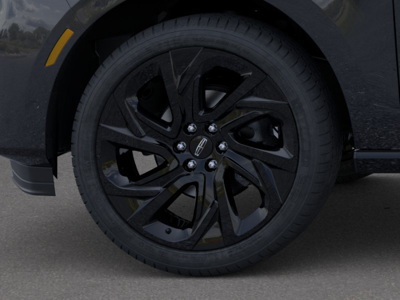 New 2026 Starlight Gray Premium Colorant Lincoln Black Label image 19