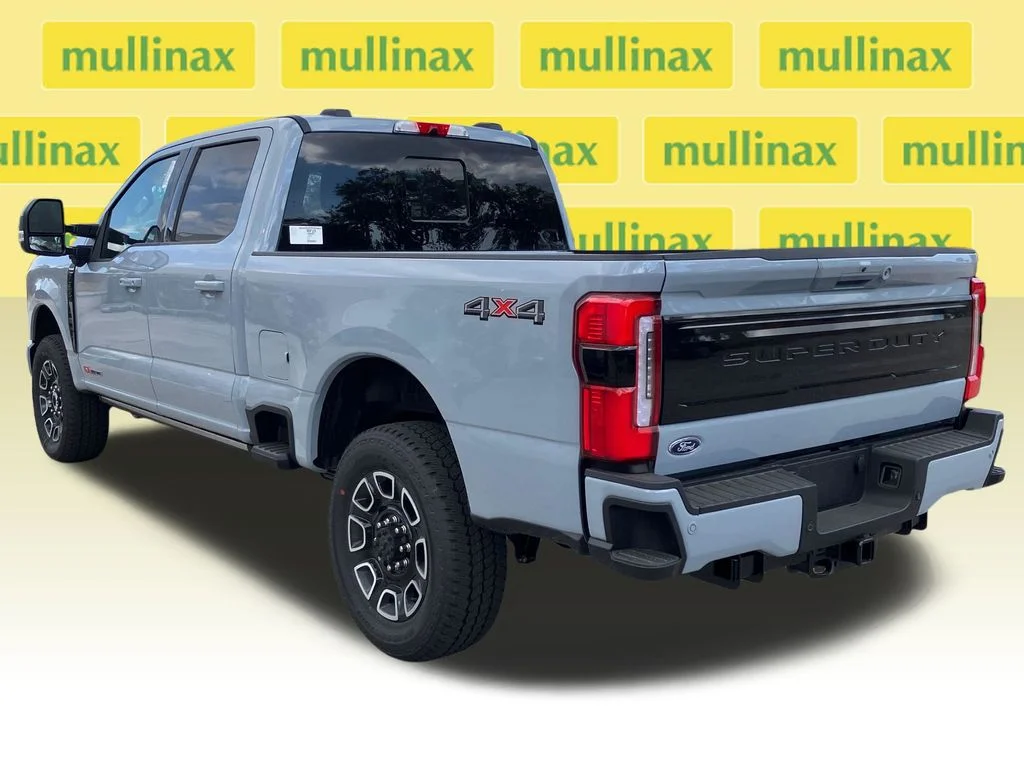 New 2026 Gray Ford Platinum image 11