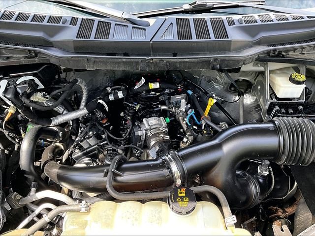 Used 2022 White Ford XLT image 34