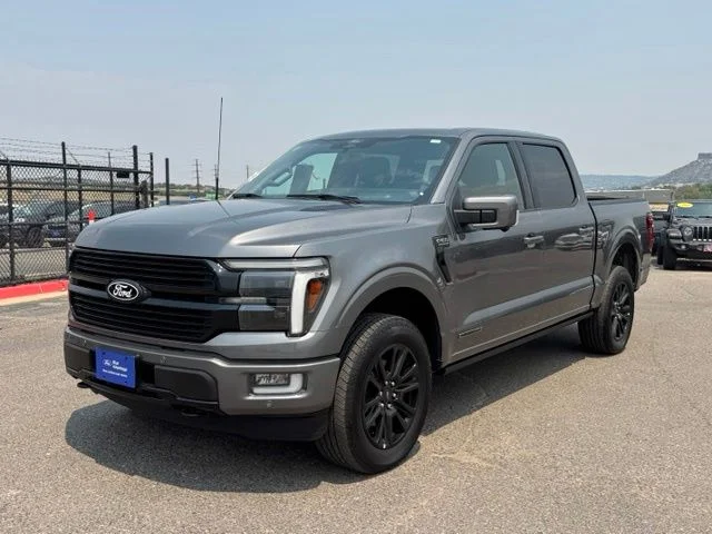 Used 2025 Gray Ford Platinum image 47