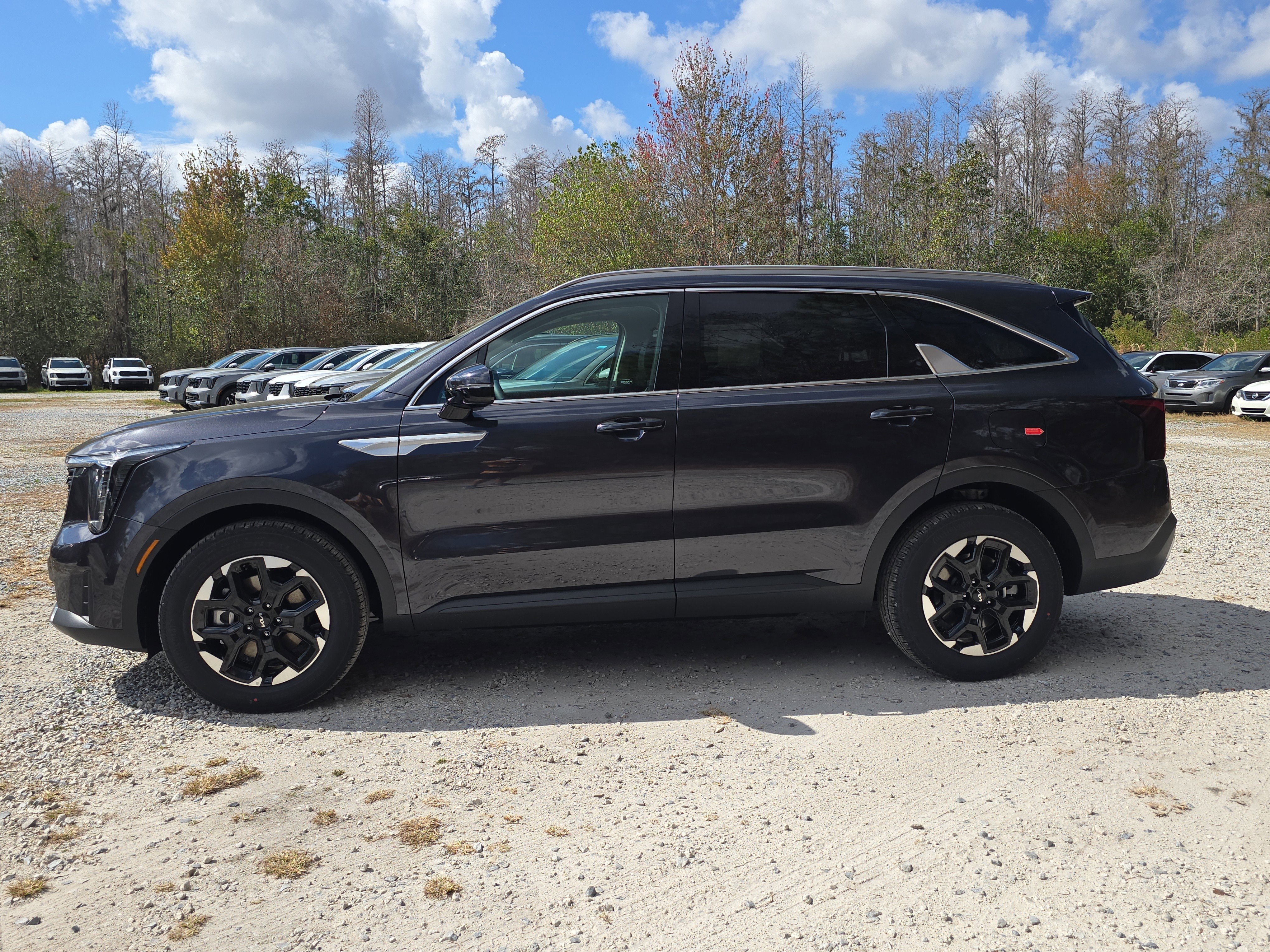 New 2026 Panthera Metal Kia S image 5