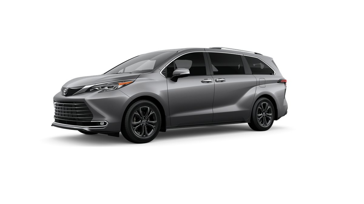 New 2026 Heavy Metallic Toyota Platinum image 24