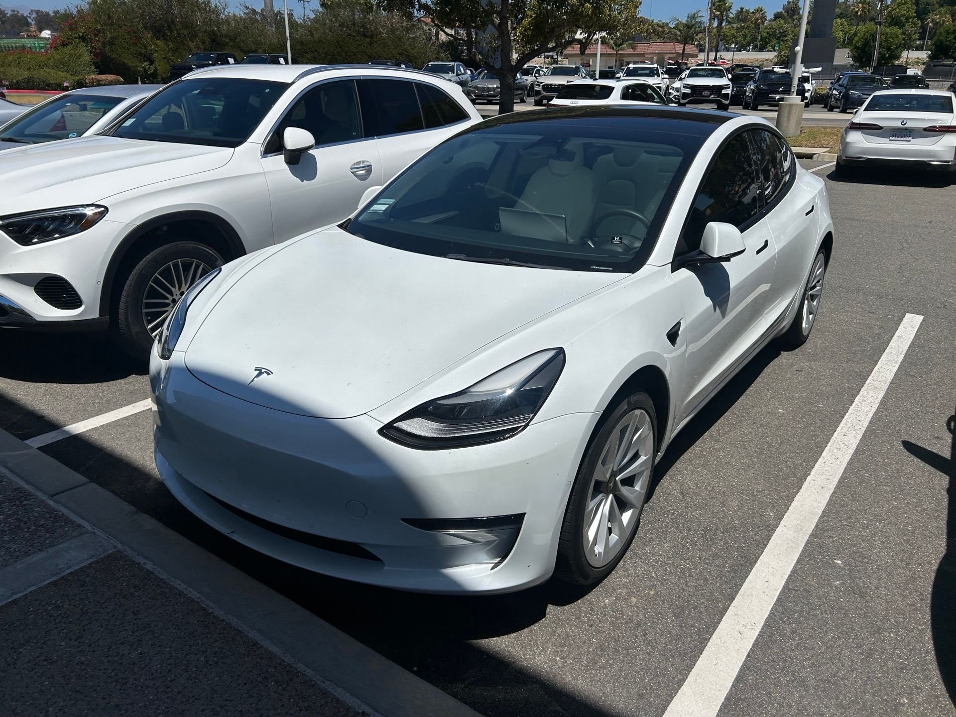 2022 Tesla Model 3 Standard Range Plus's photo