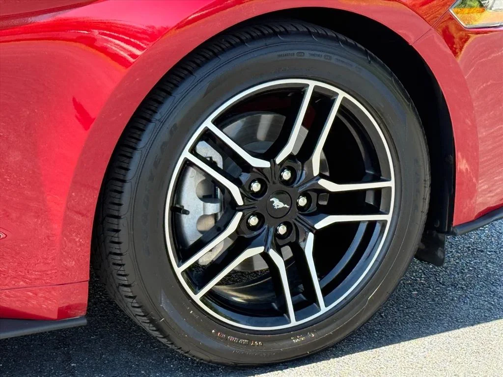 Used 2023 Red Metallic Ford EcoBoost image 9
