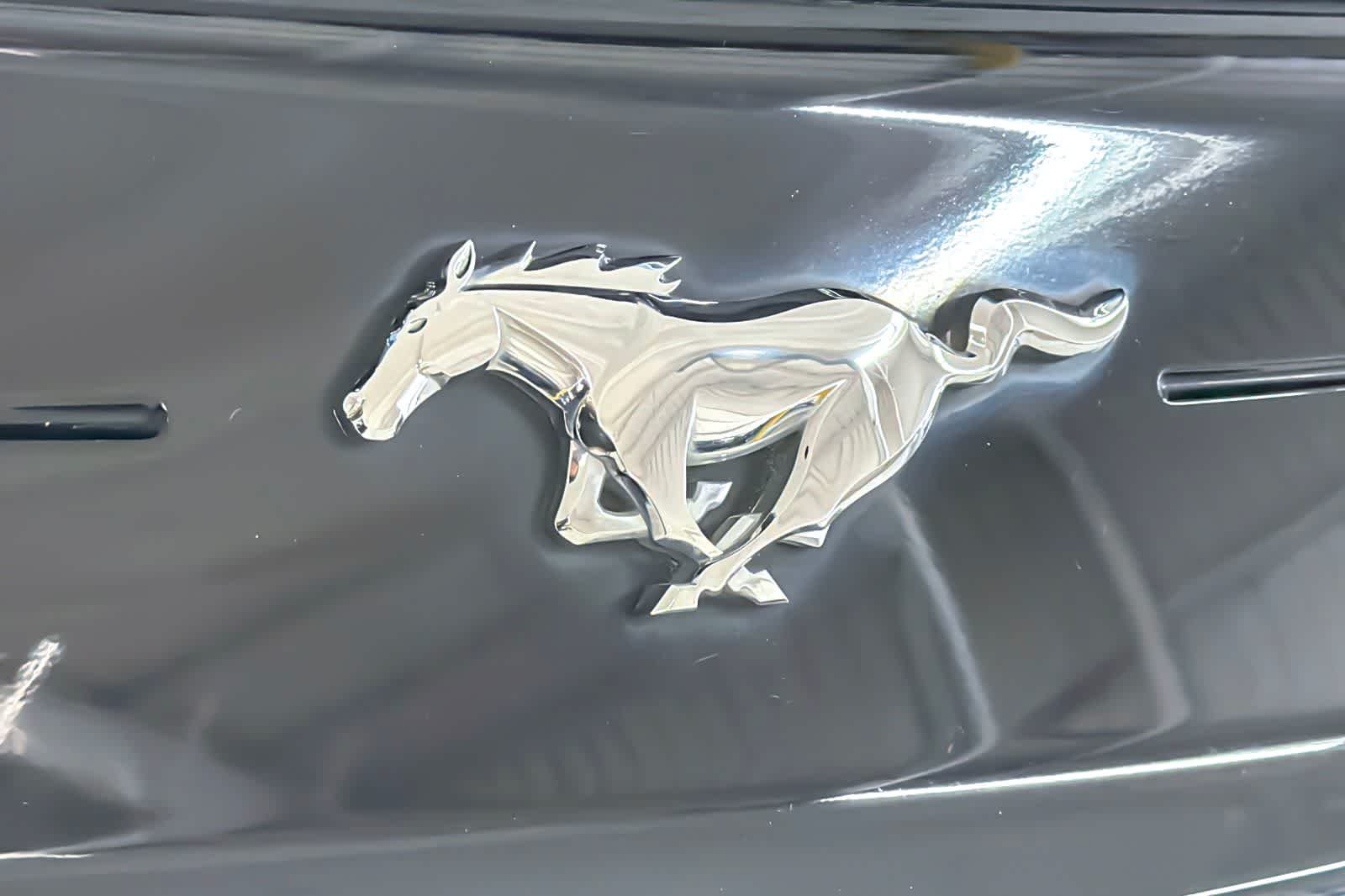 Used 2022 Oxford White Ford EcoBoost Premium image 26