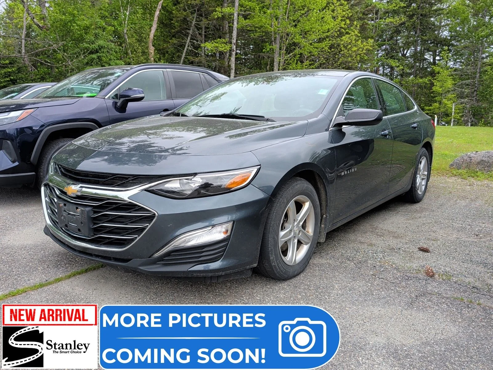 2019 Chevrolet Malibu 1LS's photo