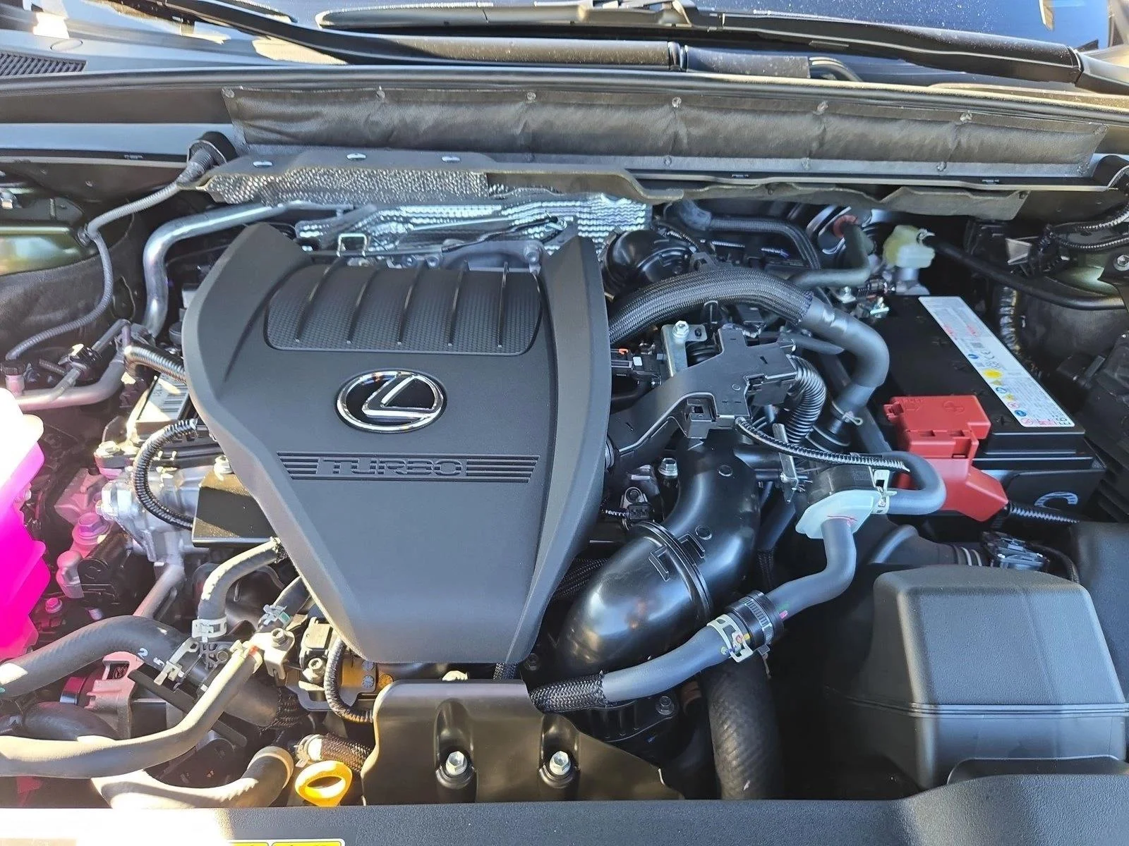 New 2026 Nori Green Pearl Lexus  350 PREMIUM+ image 16