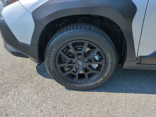 Used 2024 Silver Subaru Wilderness image 10