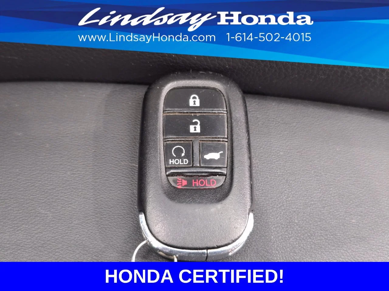 Certified Used 2024 Nordic Forest Pearl Honda Sport image 49