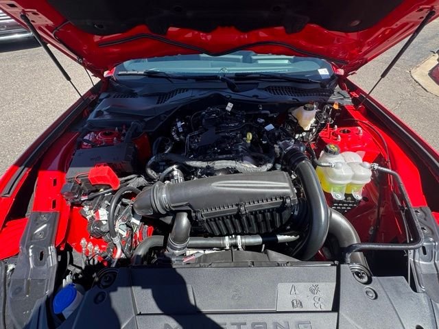 New 2026 Race Red Ford EcoBoost® Fastback image 18