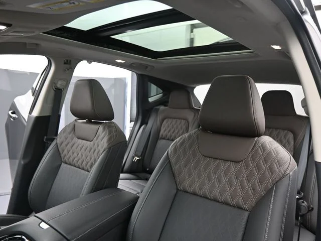 New 2026 Black Nissan Platinum image 31