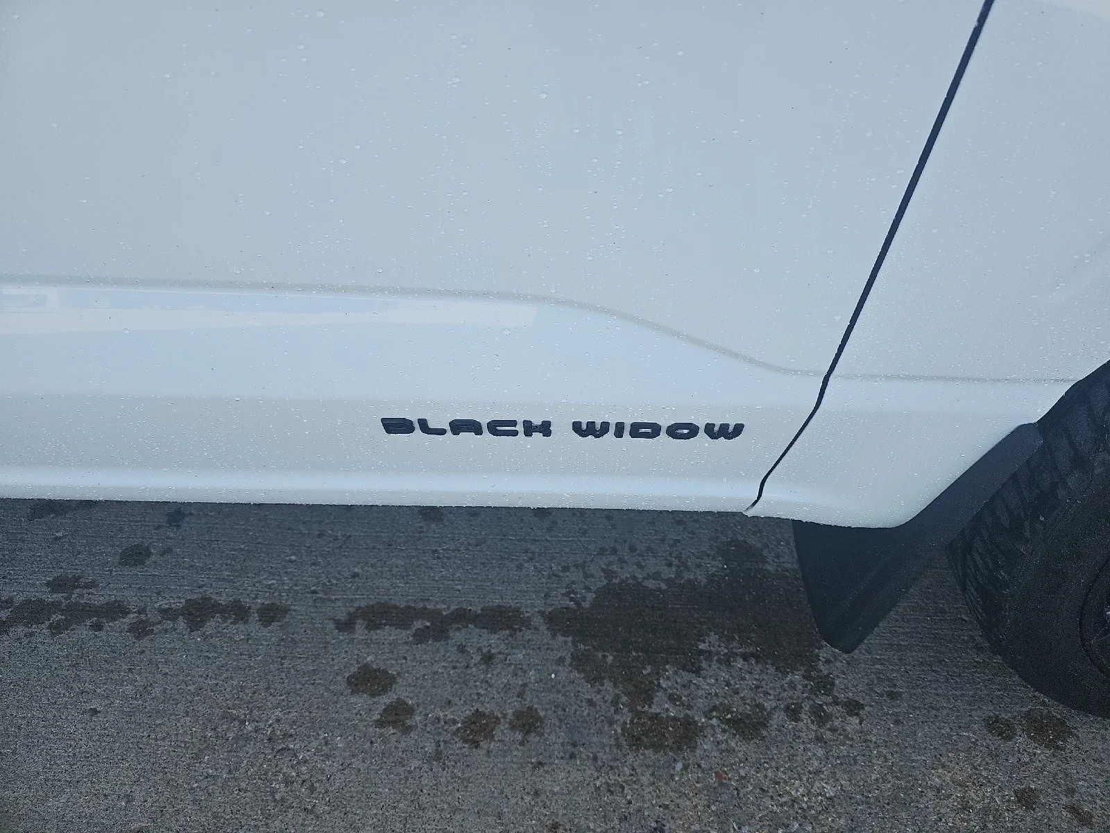 Used 2025 White Ford Black Widow Supercharged image 5