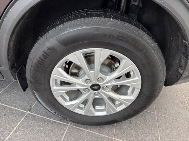 Used 2023 Cinnabar Red Metallic Ford  image 6
